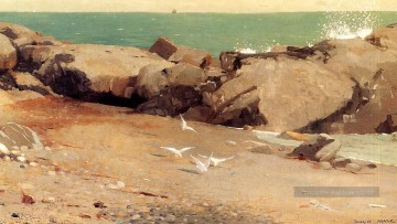  marin - Côte rocheuse et mouettes réalisme marine peintre Winslow Homer